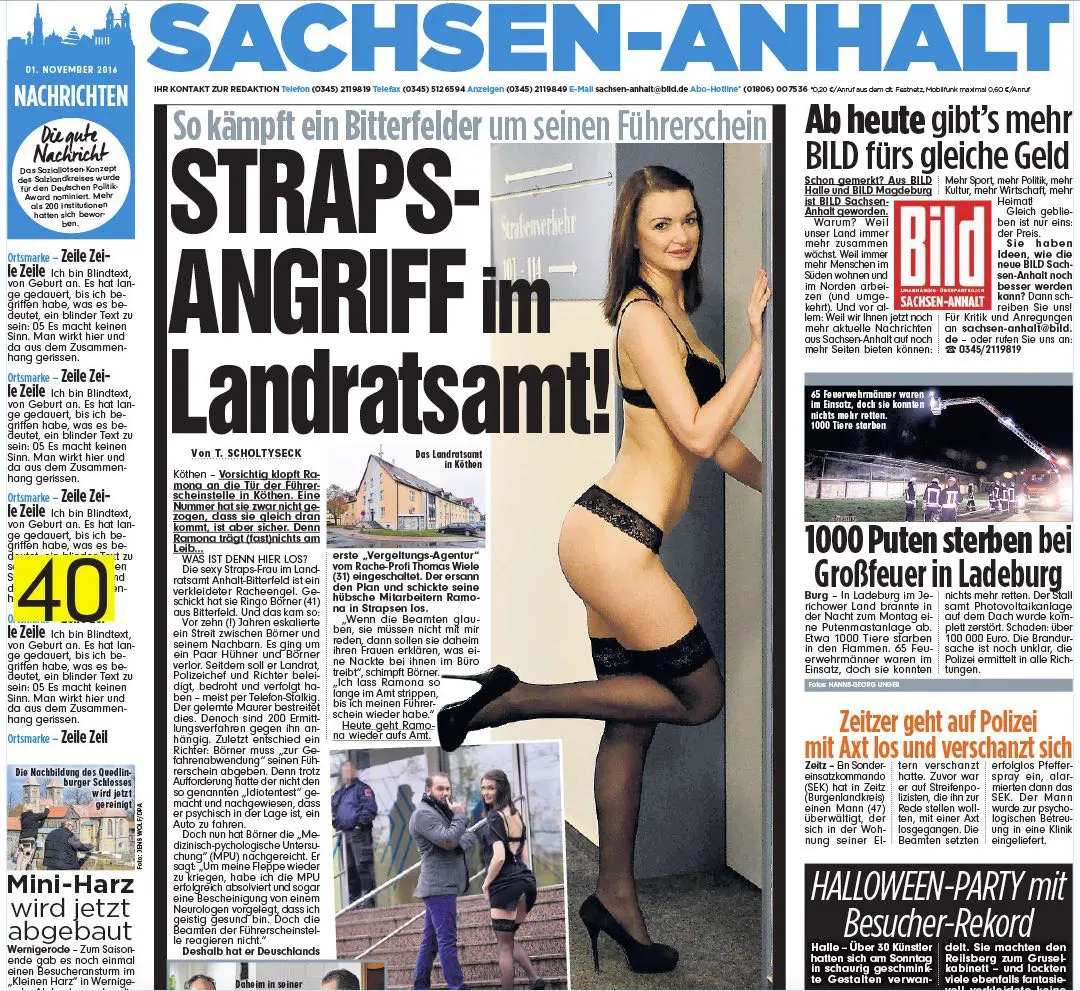 BILD Zeitung berichtet über die Racheagentur und Deutschlands ersten Racheprofi